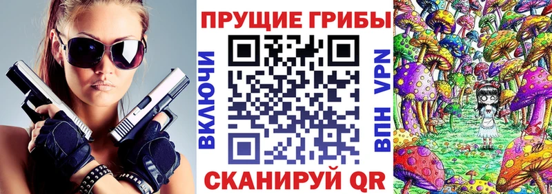 shop формула  Элиста  Псилоцибиновые грибы мухоморы 