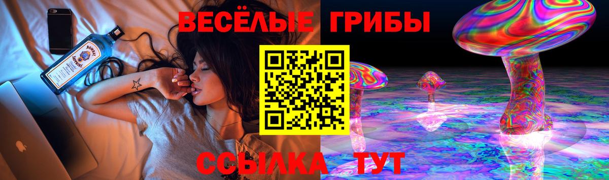 Элиста  Галлюциногенные грибы Psilocybine cubensis  Вход с VPN 