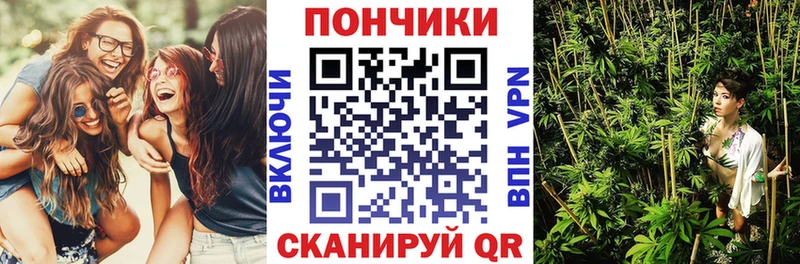 shop состав  Элиста  Конопля SATIVA & INDICA  мега ссылки 