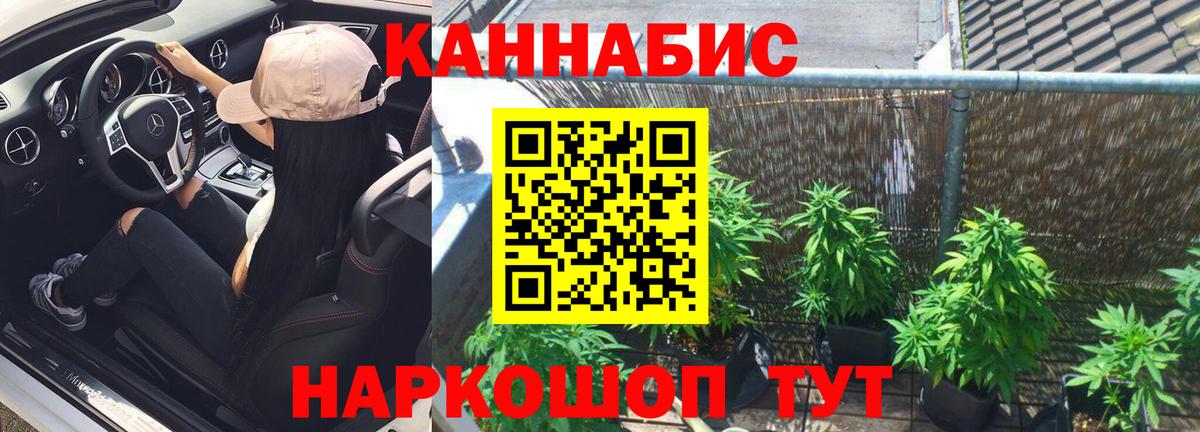 Бошки марихуана AK-47 Элиста